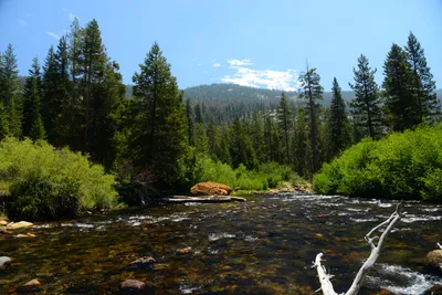 DSC_0228 (Large).JPG